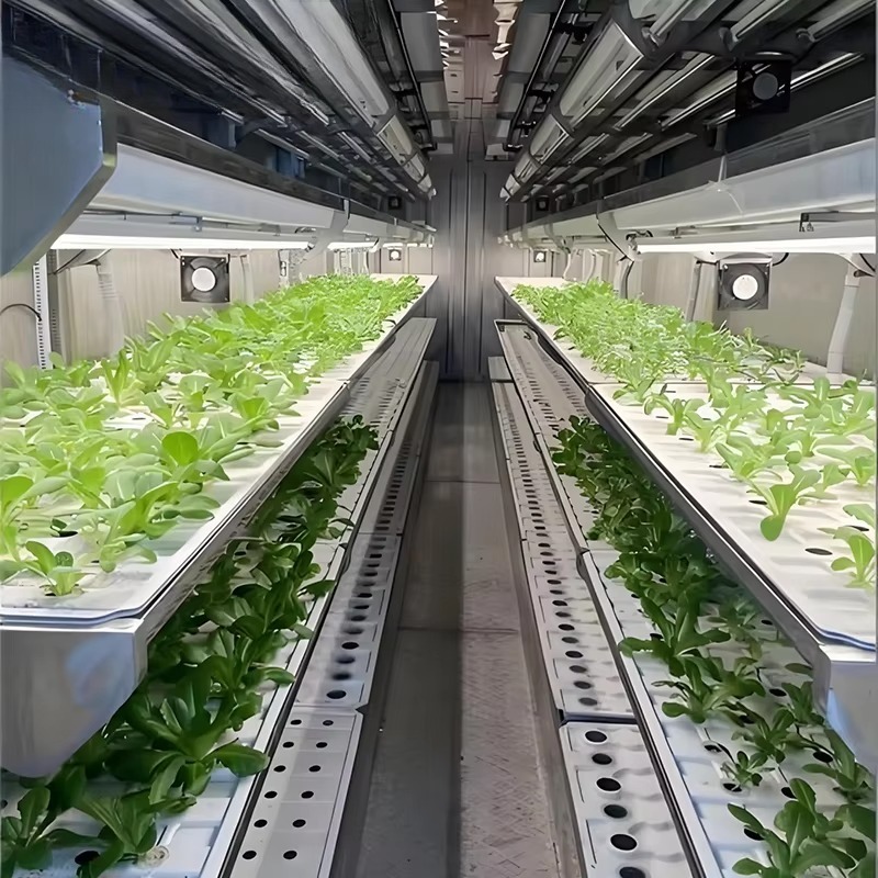 Sistema de Cultivo Vertical em - Urban Farming Vertical avaliação e preço