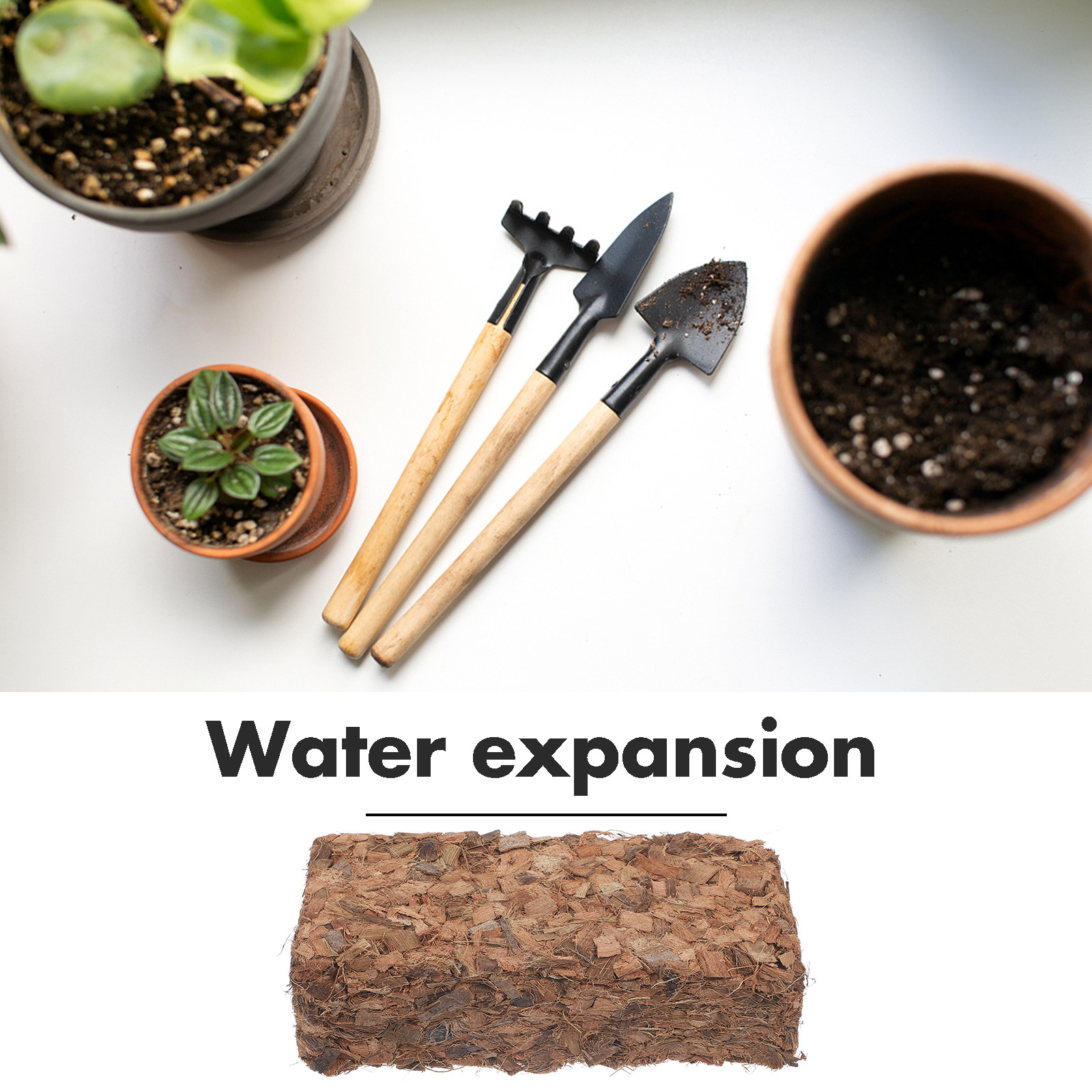 Bloco de Cultivo de Sphagnum e - Coco Coir Block avaliação e preço