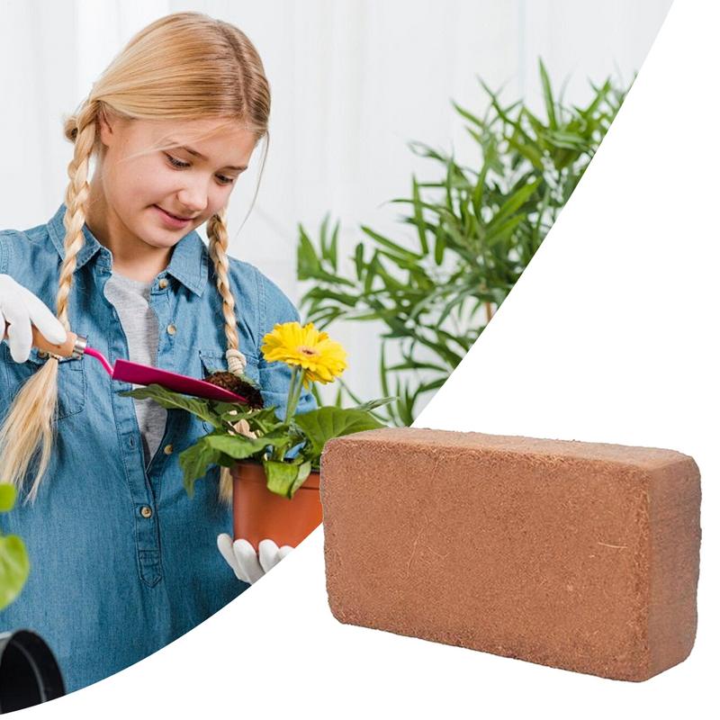 Coir orgânico para plantas blo - Coco Coir Block avaliação e preço